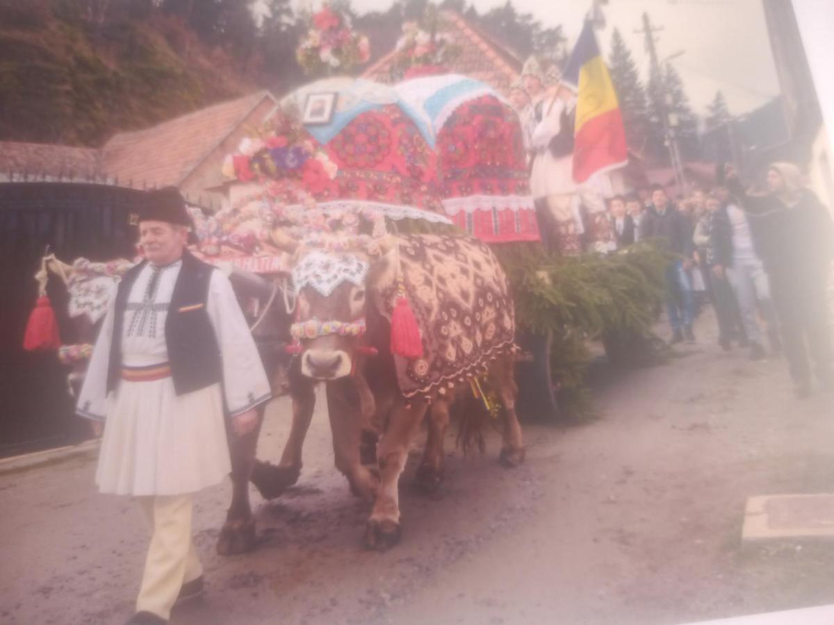 Pensiunea Casa Roman Tălmaciu Exterior foto